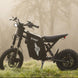 Freego X0 Electric Mini Bike for Teens and Adults