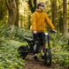 Freego X0 Electric Mini Bike for Teens and Adults