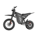Freego X0 Electric Mini Bike for Teens and Adults